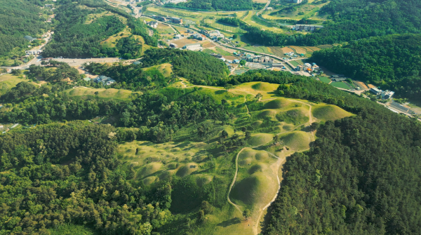 14ce0a07432f4aff43b8a64c1545637a_1766559