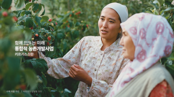 5bf733b9a76eff23ee9682a31dbc01ea_1766680