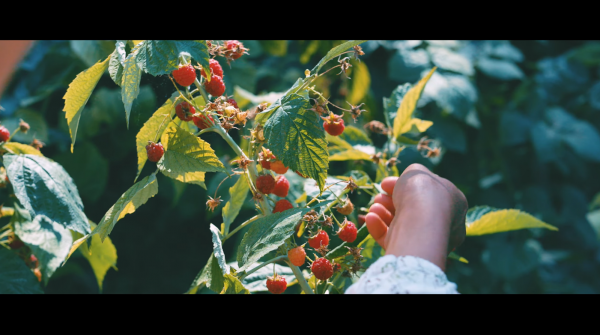 5bf733b9a76eff23ee9682a31dbc01ea_1766680