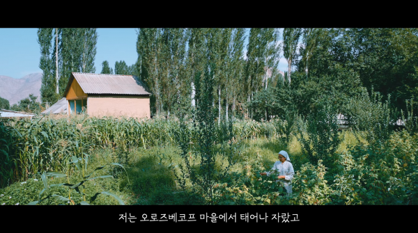 5bf733b9a76eff23ee9682a31dbc01ea_1766680